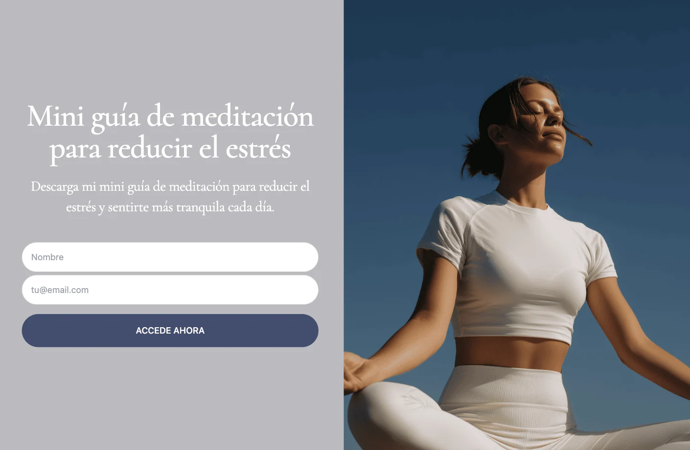 Ejemplo de formulario de pantalla completa para descargar una guía de meditación