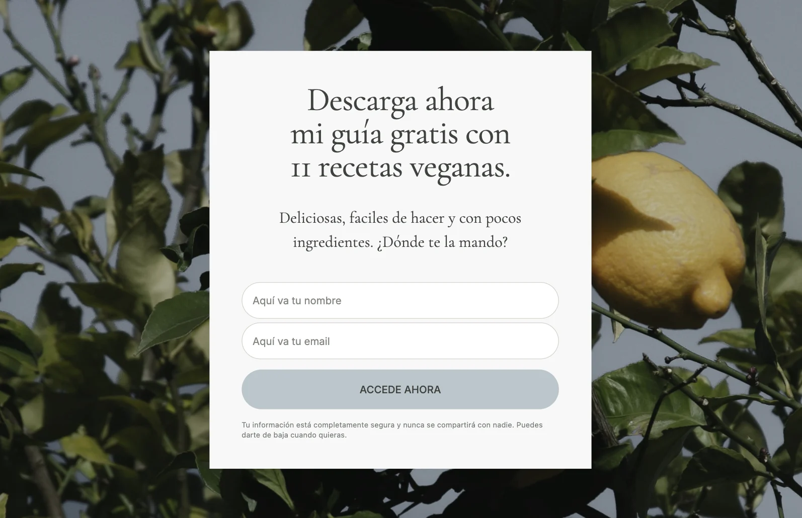 Ejemplo de formulario de suscripción que ofrece una guía gratuita de recetas veganas
